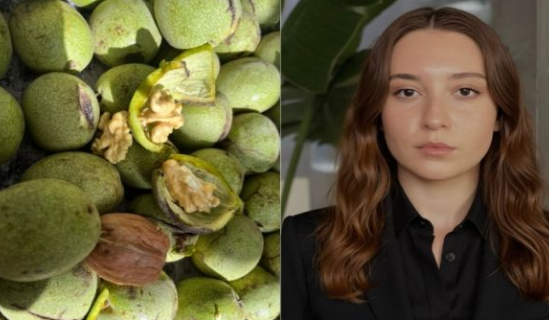 Beyza Nur Mungan: Kahramanmaraş’ta Bu Yıl Maraş 18 Cevizi Satışa Sunulmayacak  Kaynak Linki = https: