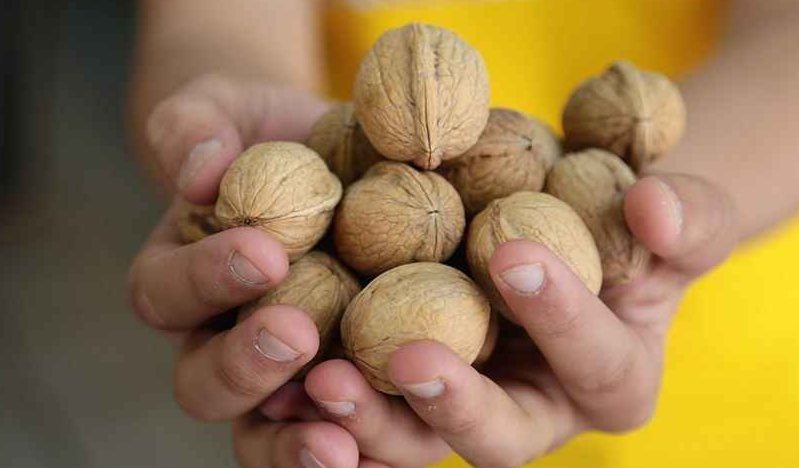 Cevizin tavsiye fiyatı açıklandı